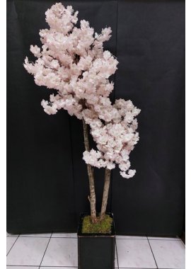 Pembe Bahar Dallı Ağaç